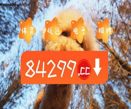 澳门天天开彩好正版挂牌340期,高效执行方案_硬核版42.502