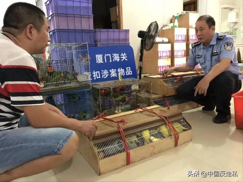 液晶拼接屏 第493页