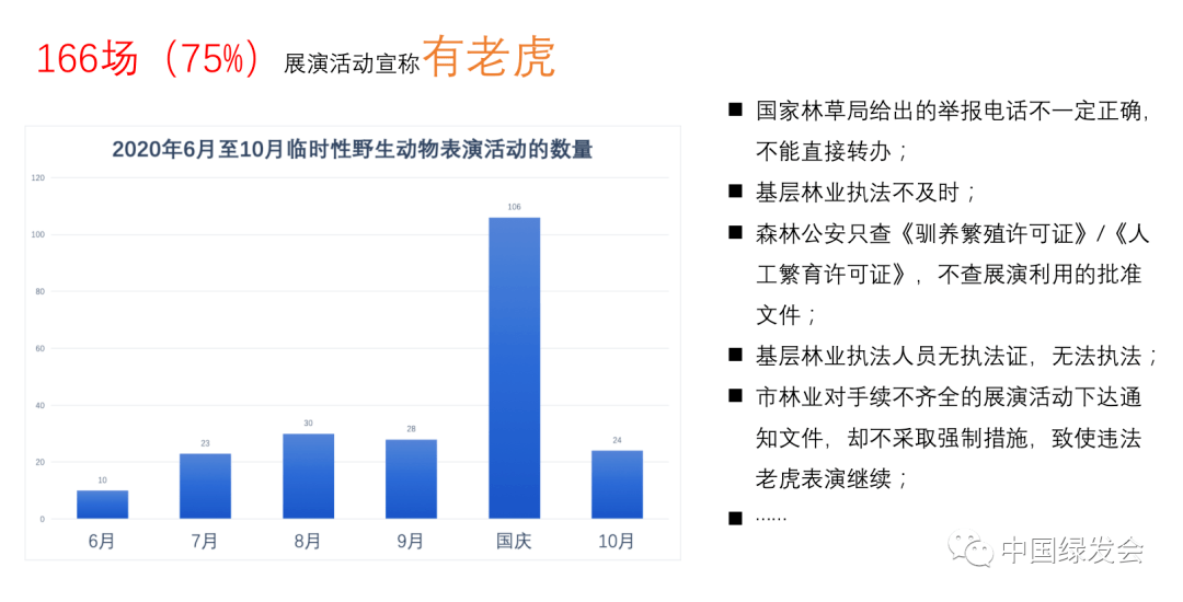 59631.cσm查询澳彩,担保计划执行法策略_紧凑版65.402