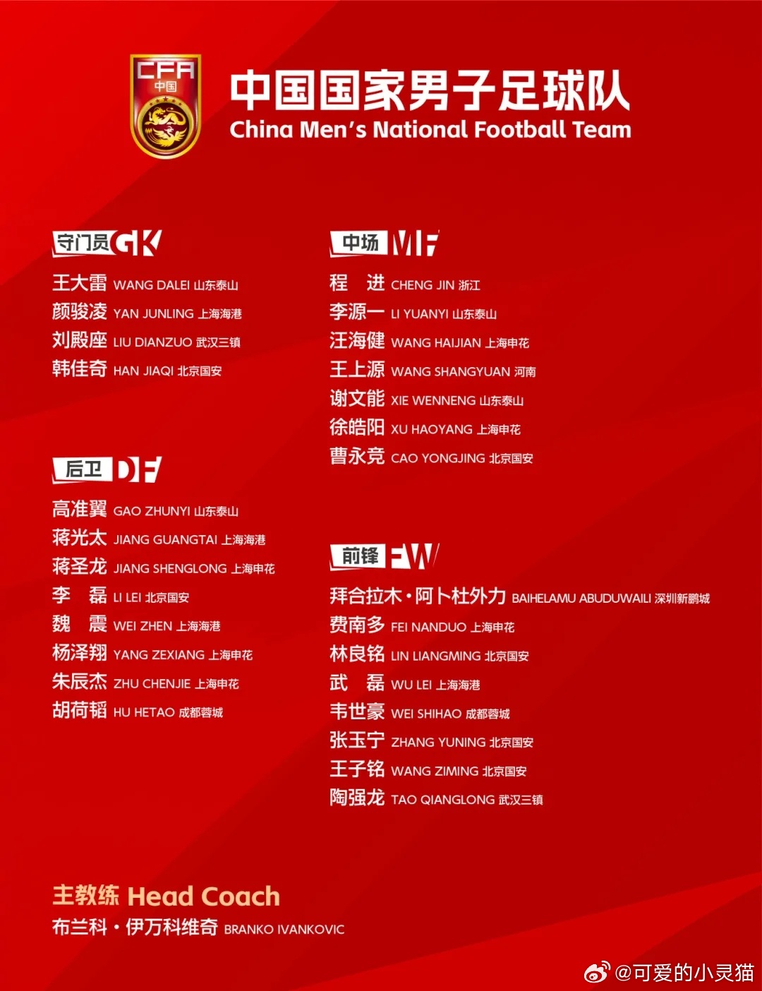 中国国家足球最新名单解析与观点分享