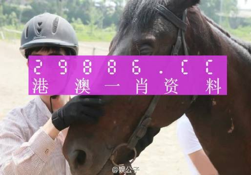 大三巴最准的一肖一码,即时解答解析分析_明亮版65.417