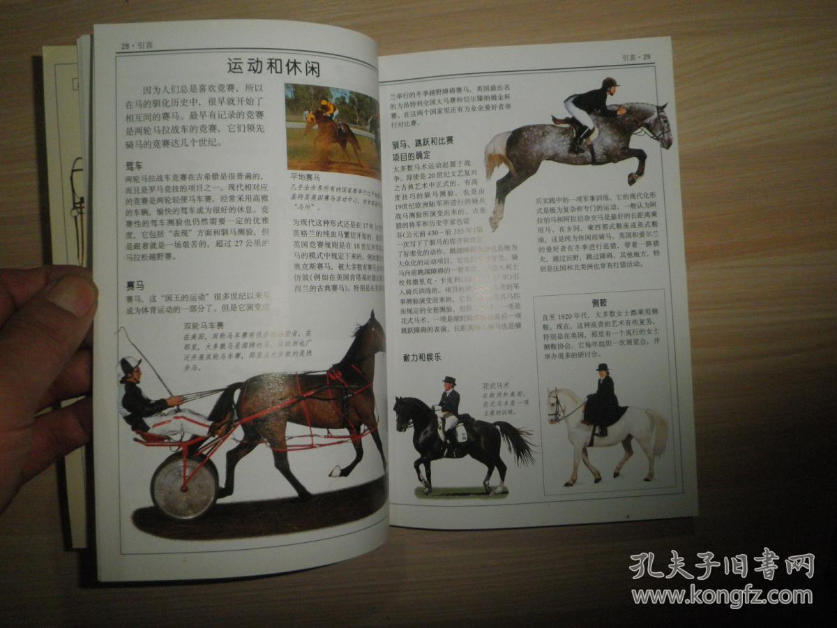 马经论坛(三期必开)免费公开,具象化表达解说_动图版60.245