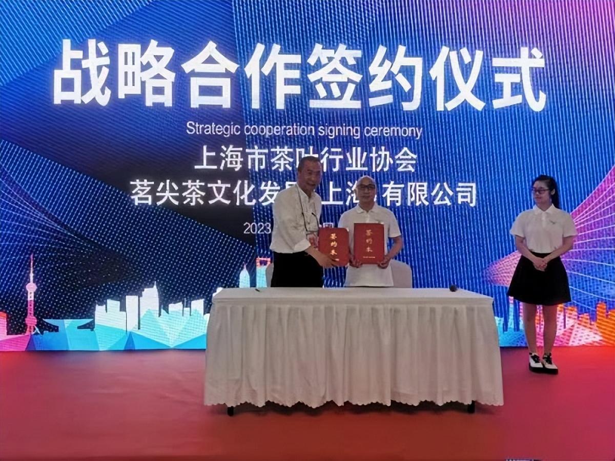 英雄联盟手游新英雄，科技与生活的无缝融合之旅