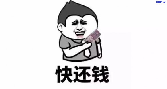 来分期不还款后果最新揭秘，严重影响的警示！