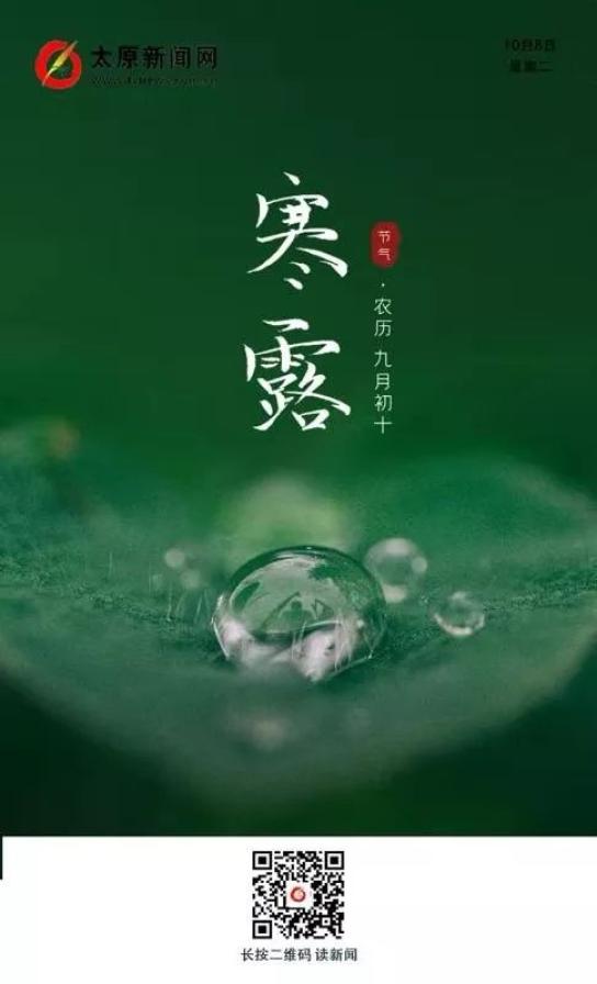 凉露最新消息,💦凉露最新消息📣震撼来袭！一切尽在此揭晓！