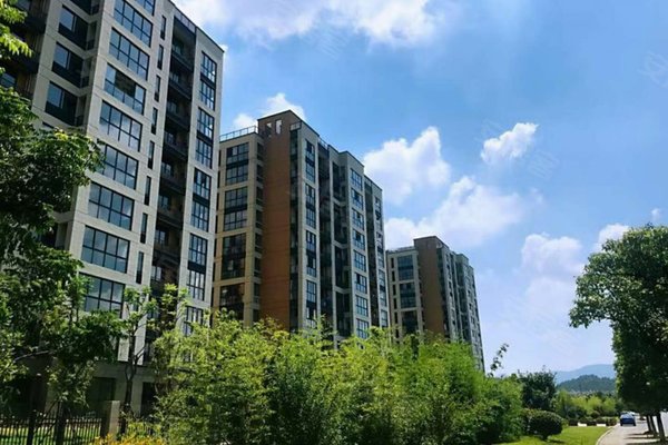 安吉龙山公馆最新房价详解及获取准确信息指南