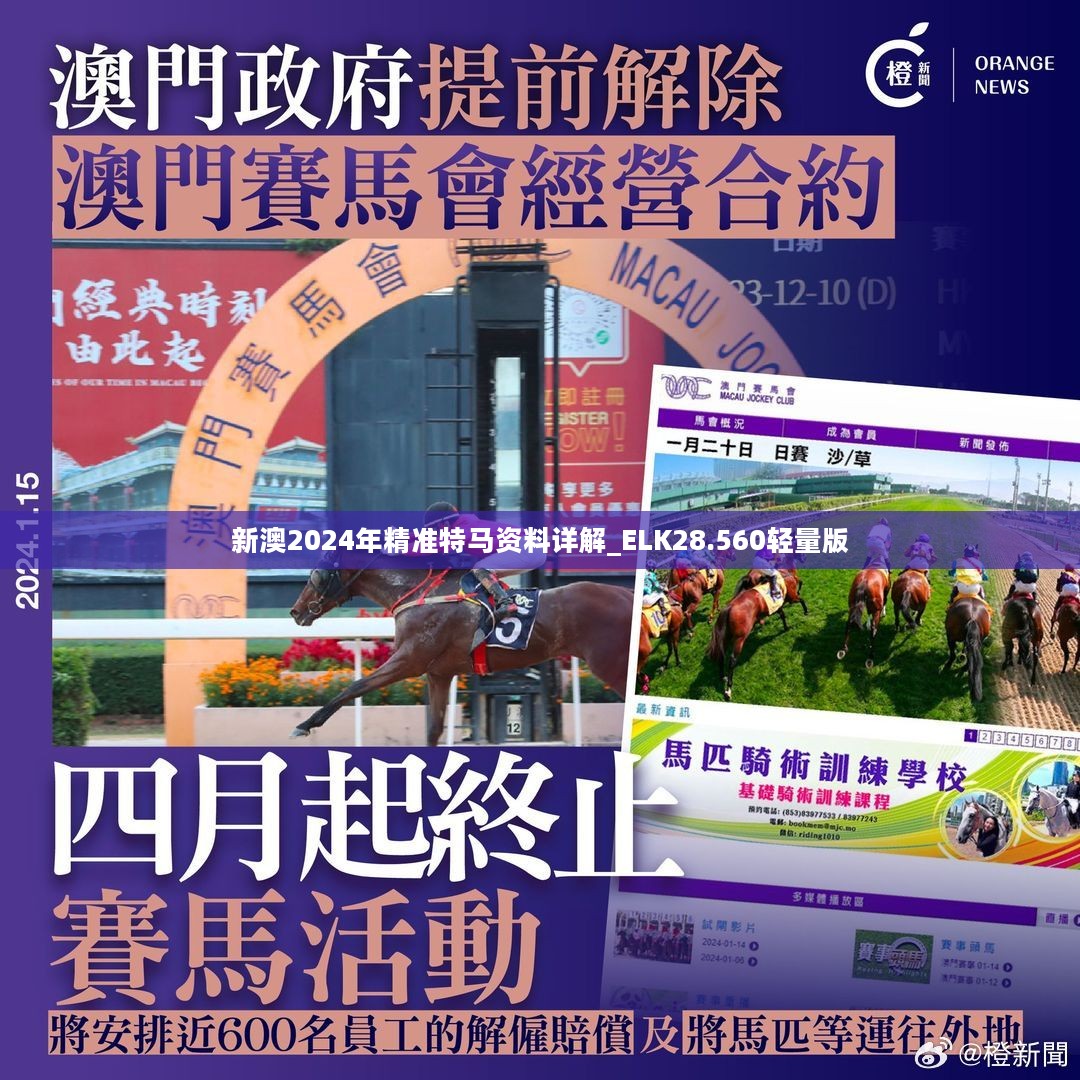 新澳2024年精准特马资料,可依赖操作方案_L版65.952