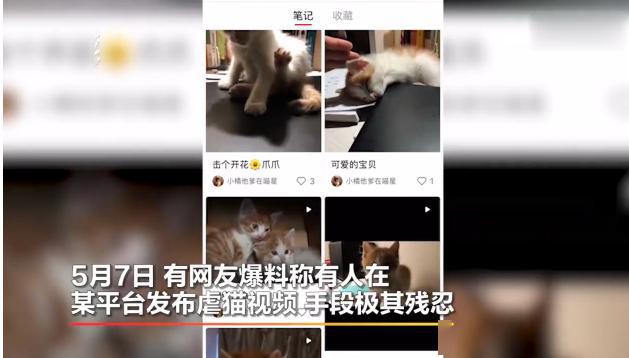 远离色情内容，探索小巷美食与文化之旅