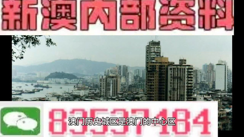 新澳门精准资料大全管家婆料,全面性解释说明_复古版9.895