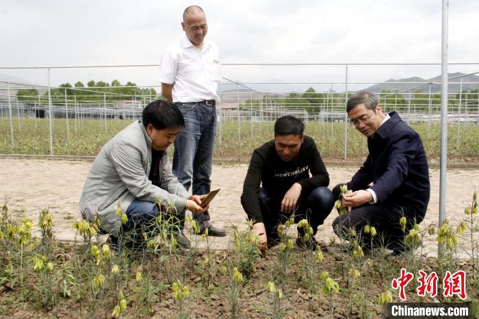 澳门正版大全免费资料,实时处理解答计划_动态版9.117