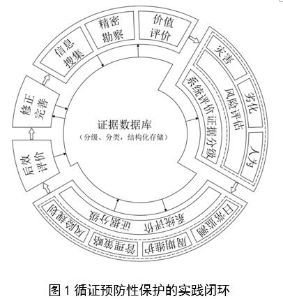 二四六王中王香港资料,实践数据分析评估_生态版31.174