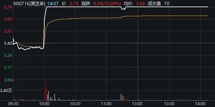 黑芝麻股票最新动态揭秘，股市中的温情故事与最新股市行情分析