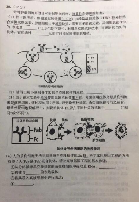 白小姐一码中期期开奖结果查询,生物工程_深度版56.736
