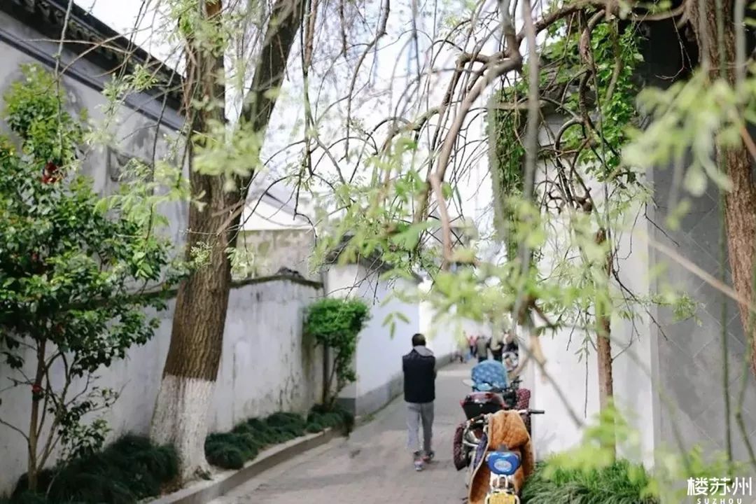 cao榴社区最新地址,探秘Cao榴社区最新地址，巷弄中的隐藏瑰宝