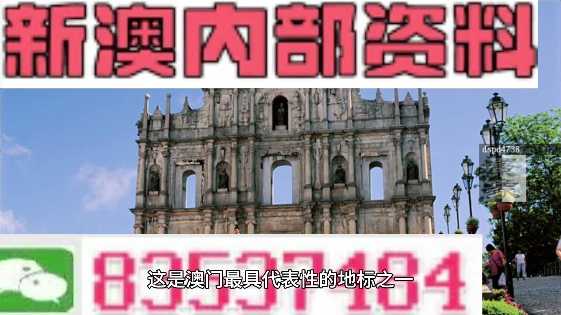 2024新澳门免费长期资料,动态解读分析_运动版9.194