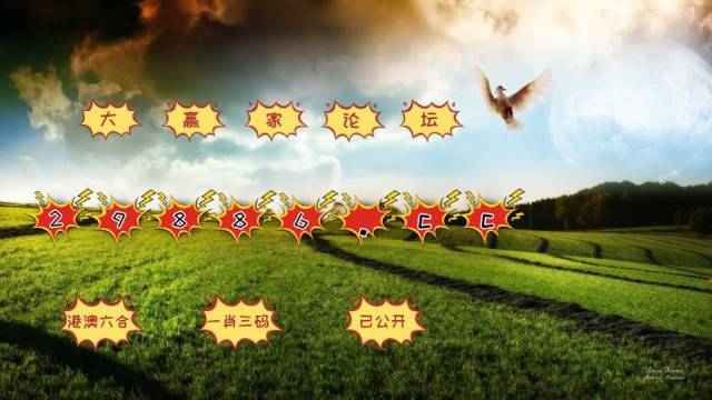 494949澳门今晚开奖什么,实地观察解释定义_计算机版9.506