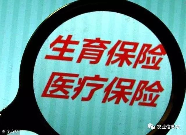 计生政策调整最新消息,计生政策调整最新消息——智能生活，科技重塑未来计生体验