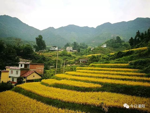 盘江股份最新动态，自然美景探索之旅，心灵宁静与欢笑交织的体验
