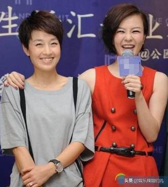 马伊琍最新动态，时代浪潮中的演艺之星