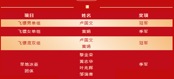 四平飞镖大赛最新消息,策略优化计划_社交版23.141
