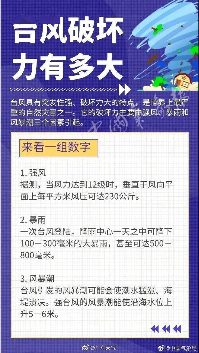 平阳大拆大整最新消息,高速响应计划执行_先锋实践版23.460
