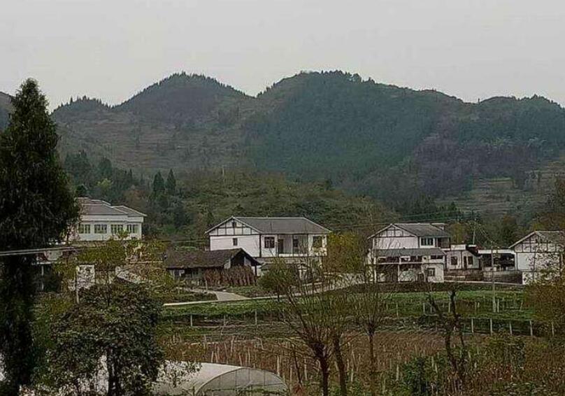 遵义市喇叭镇最新消息,高效计划实施_影像处理版23.825