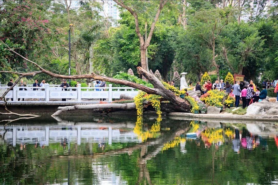 最新智慧版，轻松探索自然美景的旅程