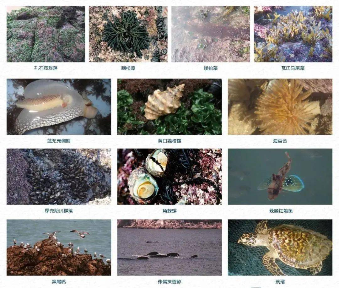 广东疫情最新动态，科技守护智能引领，疫情应对展现科技力量