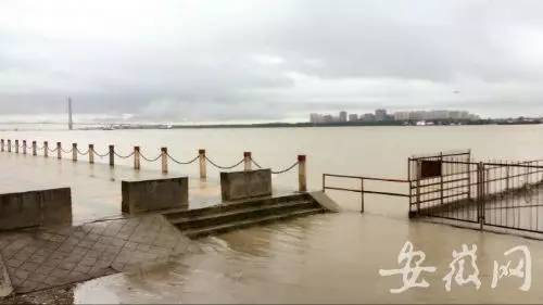安徽铜陵暴雨最新动态，科技引领防汛进入新时代