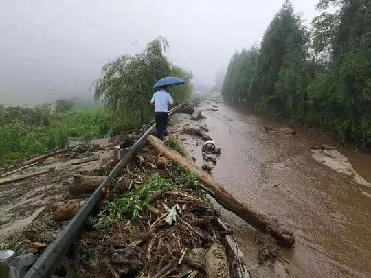 四川雅安降雨最新动态与小巷深处的绿色宝藏探索