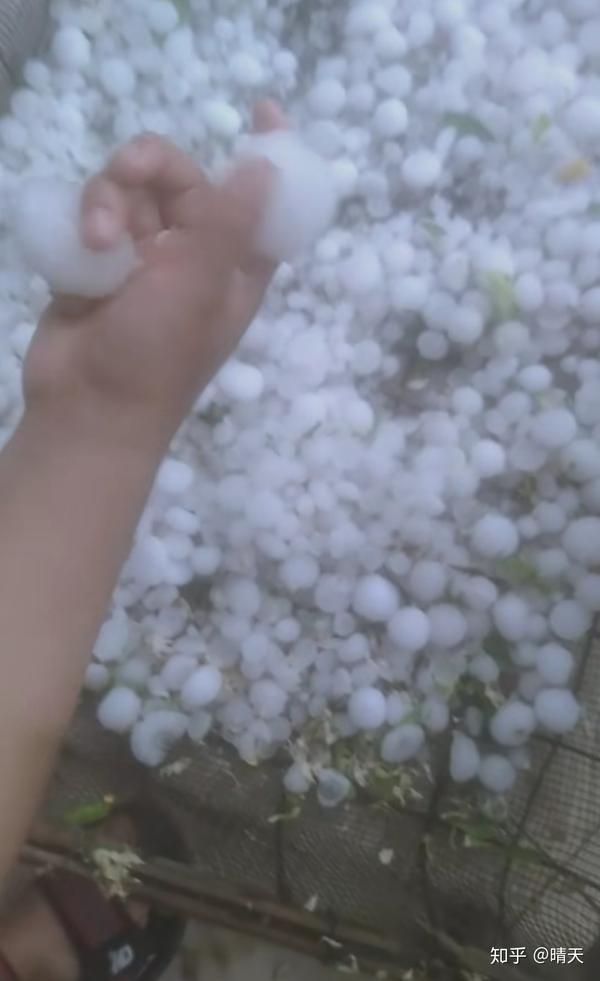 曲阳冰雹最新动态，灾害情况持续更新🔥💥