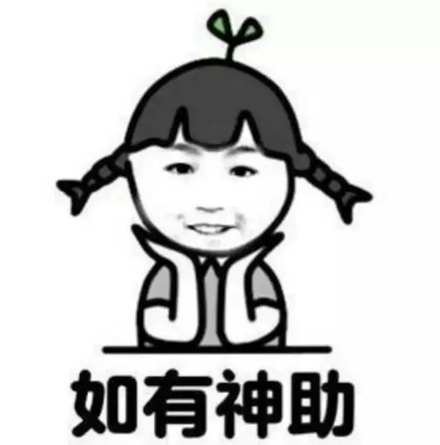 湛江台风最新动态，科技守护，安心无忧。