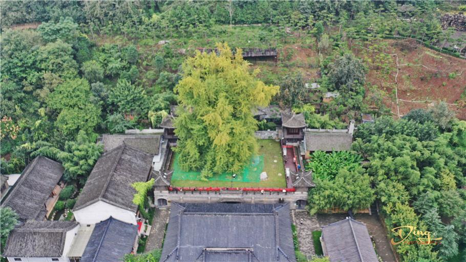 三亚南海观音门票价格,三亚南海观音门票价格之我见