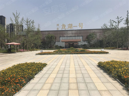 郑东龙湖一号最新动态揭秘，最新进展与资讯更新