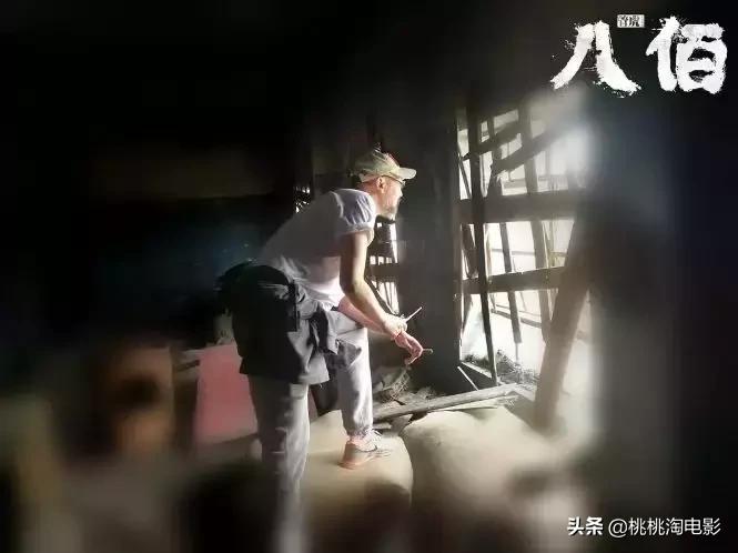 杀生电影深度解析，探究其内涵与意义