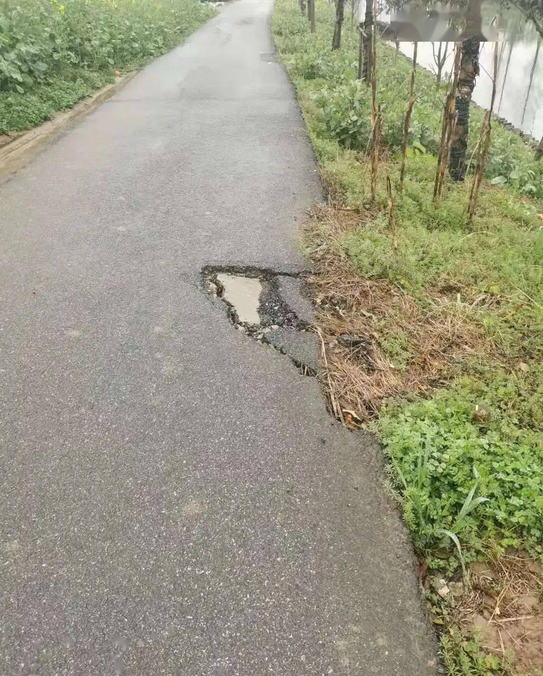昌乐最新资讯，学习之光照亮自信之路