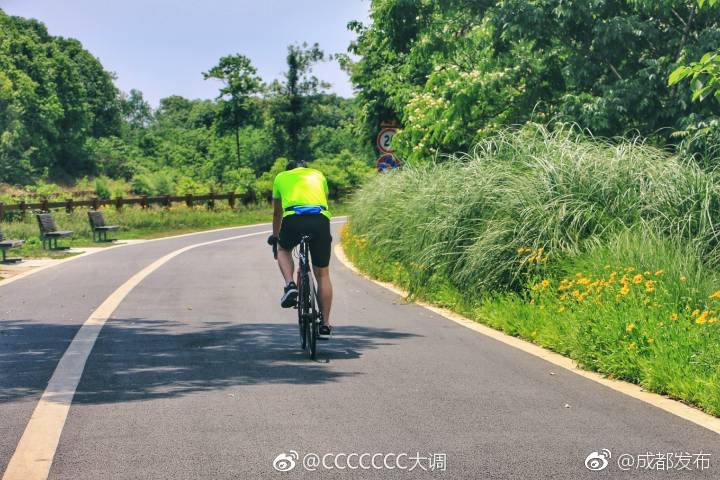 青龙湖二期最新动态，湖泊与我们共同迈向未来