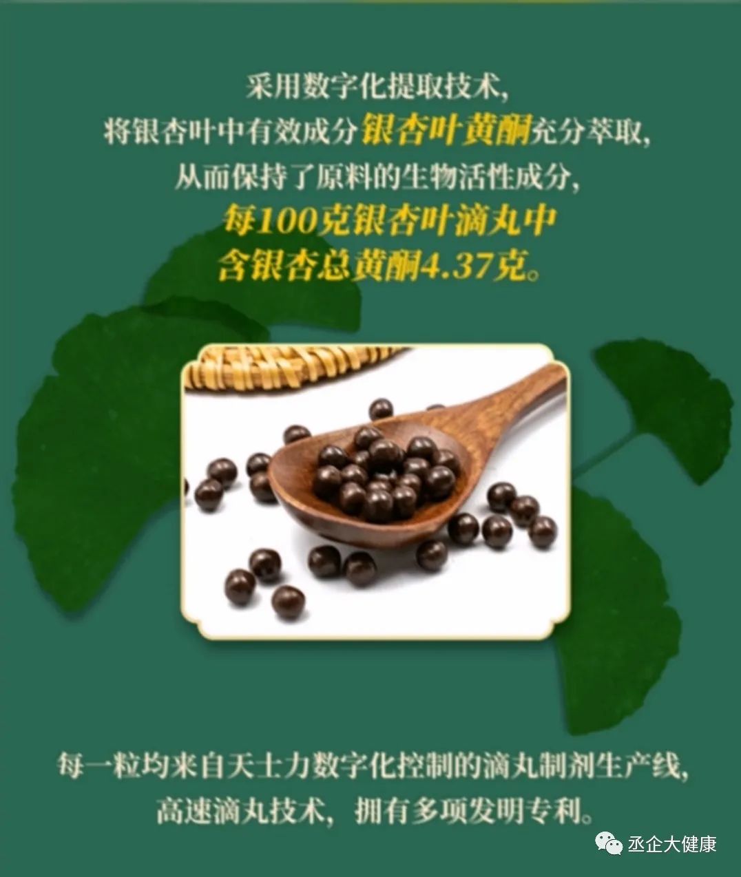 银杏滴丸价格探索，自然美景背后的旅行体验与探寻