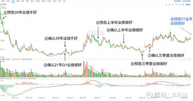 东方科技股票，时代印记与科技的领航者