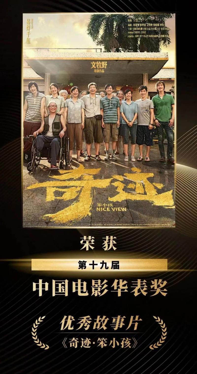 明星直播，星光闪耀，时代共鸣之夜