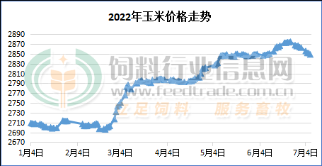 玉米定粉最新行情走势图及市场深度解析