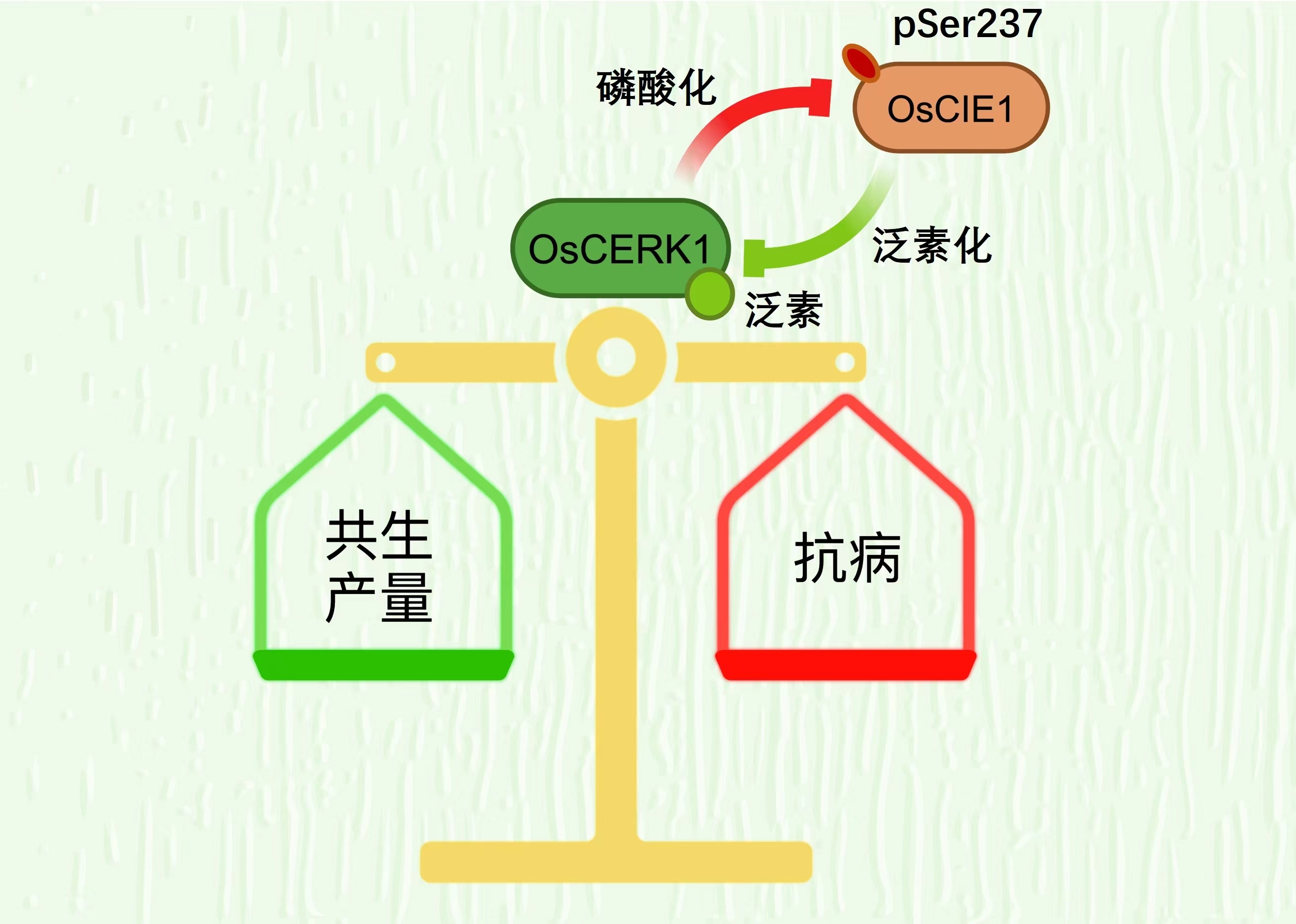 未分类 第3页