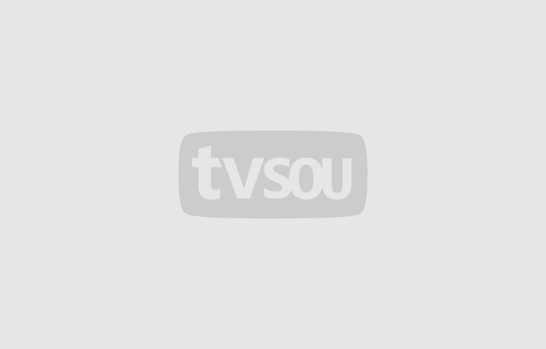天下粮仓演员表深度解析，角色与演员魅力一览