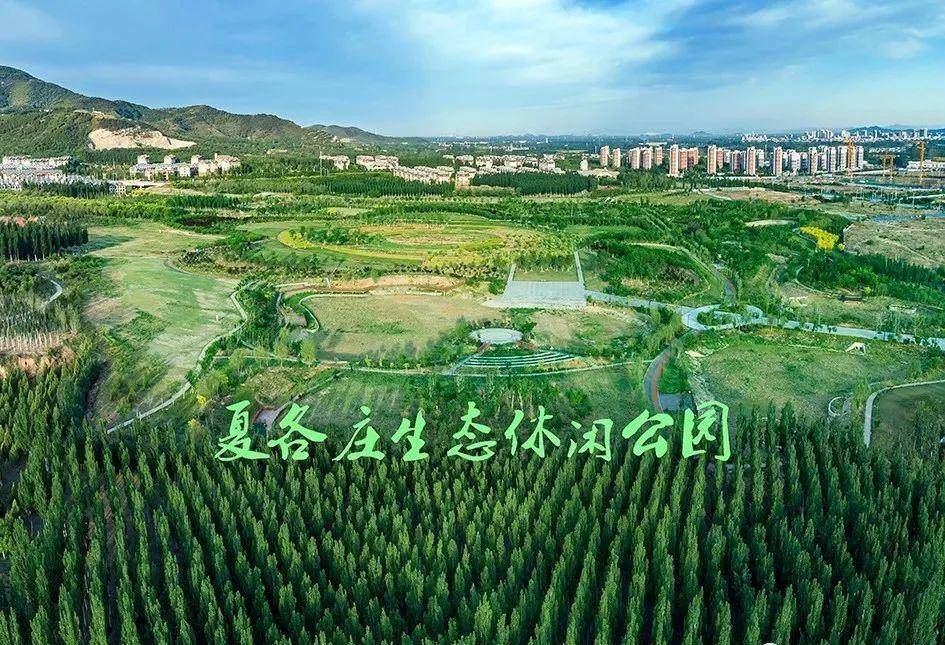 平谷绿谷最新招聘资讯，小巷深处的独特风味，等你来探秘职场机遇