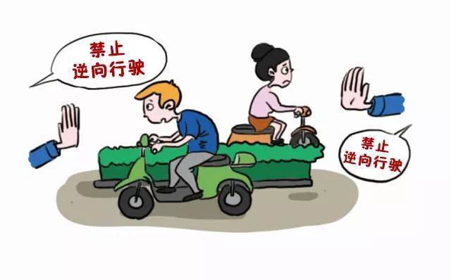 探亲假最新规定，拥抱自然之旅，探寻内心宁静之旅