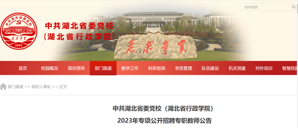 肥城最新招聘信息揭秘，小巷中的职业机遇等你来探索！