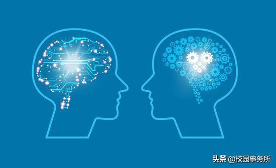 最新提档线详解，步骤指南与操作建议