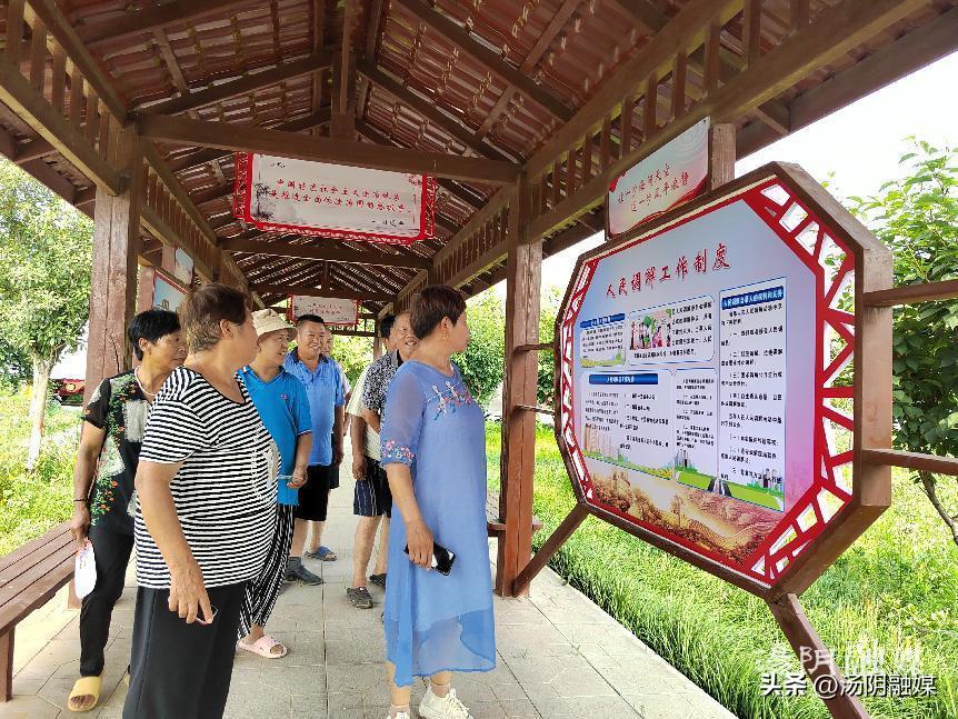 汤阴最新车祸及其背后的故事，小巷深处的意外与独特风味探索