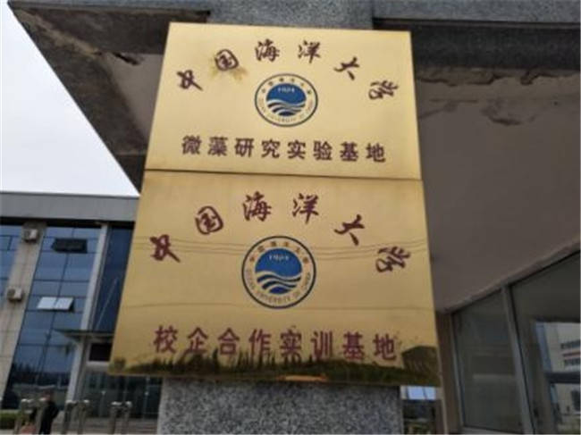 乌索普最新动态揭秘，新征程与新发展的探索之旅