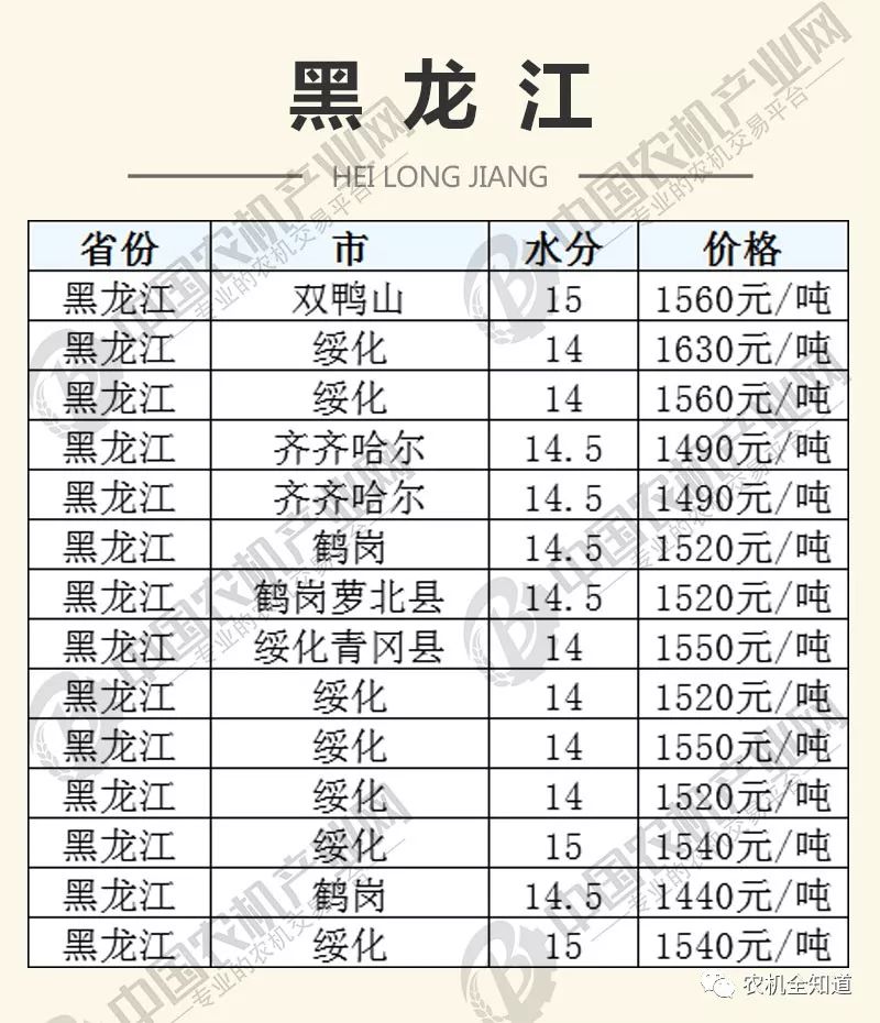 湖北玉米最新价格及动态分析概述